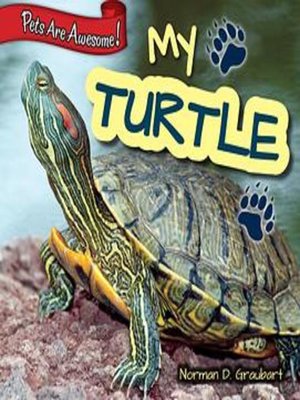cover image of My Turtle